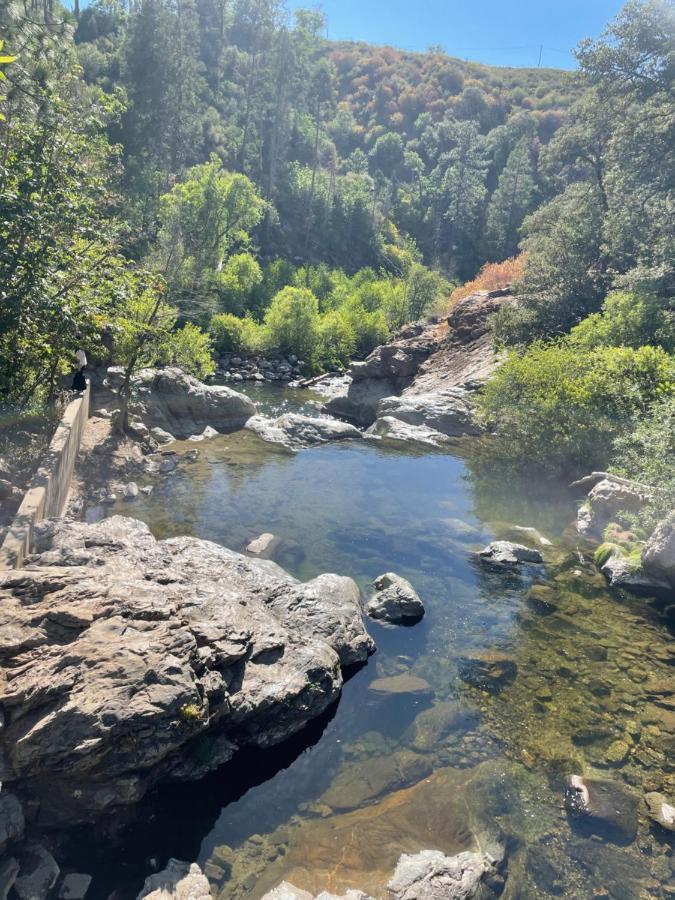 Yosemite Escapes - Pine Mountain Lake Groveland Exteriör bild